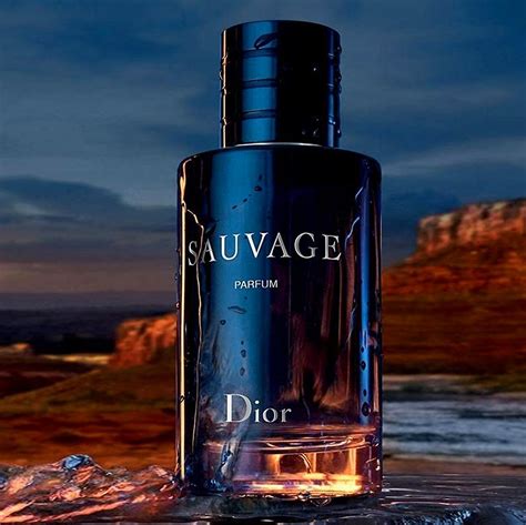 duft sehr ähnlich zu das neue dior sauvage|Dior Sauvage Dupe – Die besten Duftzwillinge und .